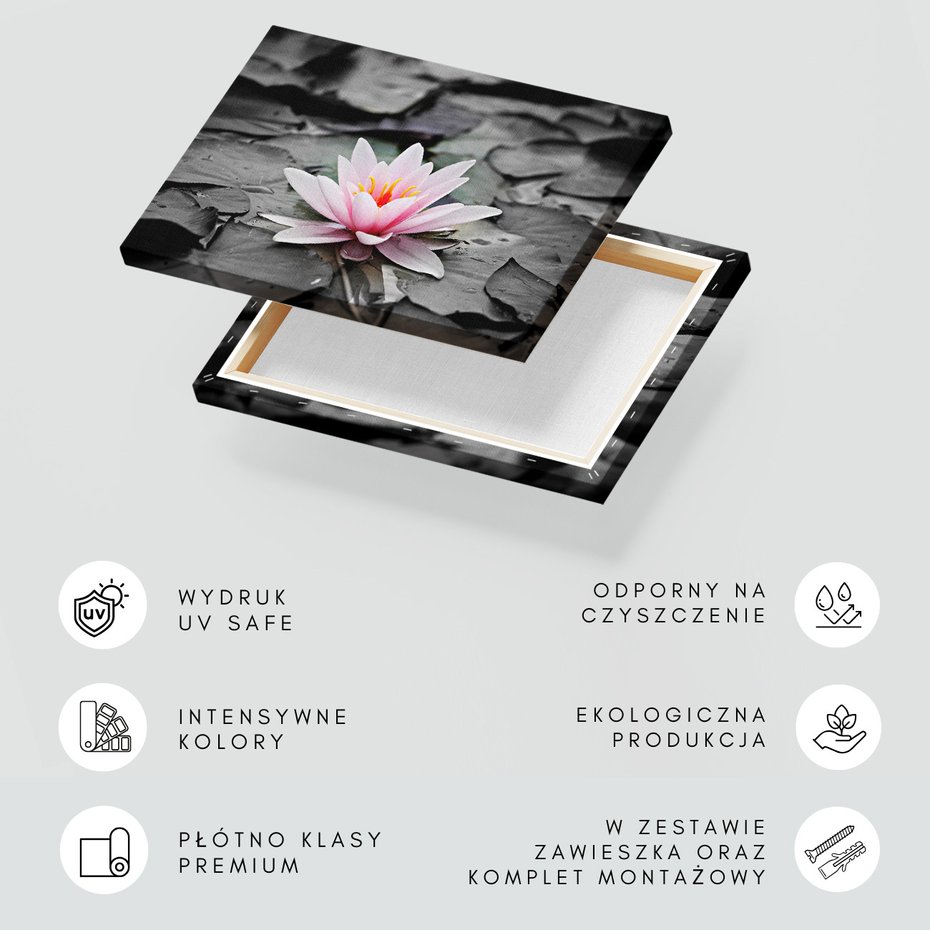 Obraz na płótnie - kwiat, lilia wodna, staw