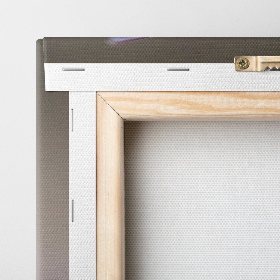 Obraz na płótnie - Koliber, Ptak, Natura