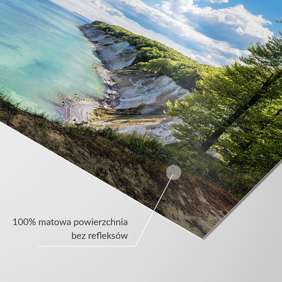 Fototapeta - klify, morze, lasy