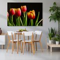 Obraz na płótnie - tulipany, kwiaty, czerwony
