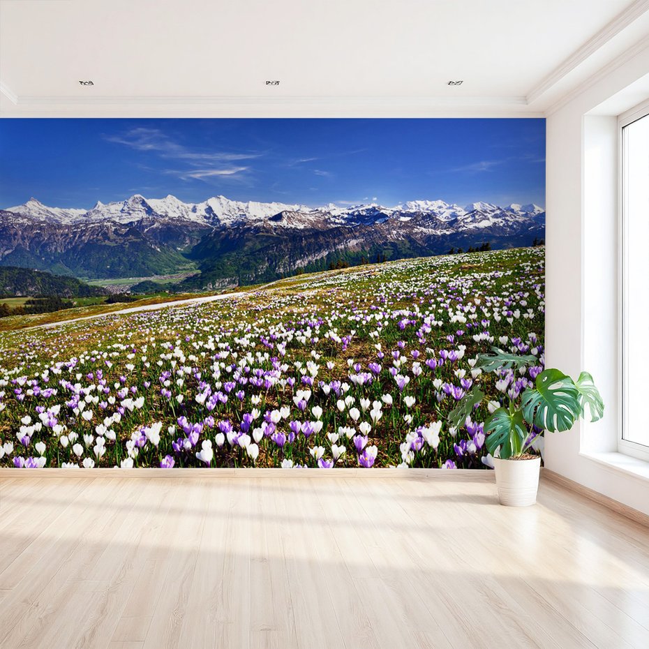 Fototapeta - góry, kwiaty, krajobraz