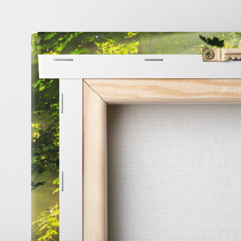 Obraz na płótnie - las, światło, droga