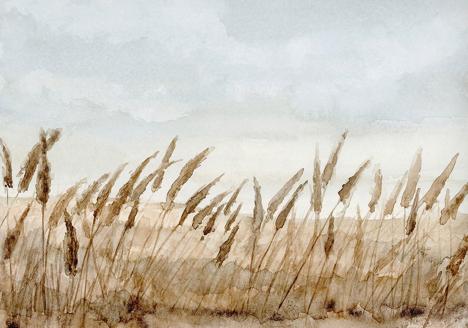 Fototapeta - loft, łąka, trawy