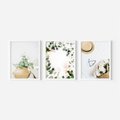 Zestaw obrazy w ramie, plakaty - kwiaty, liście, eukaliptus - rama biała