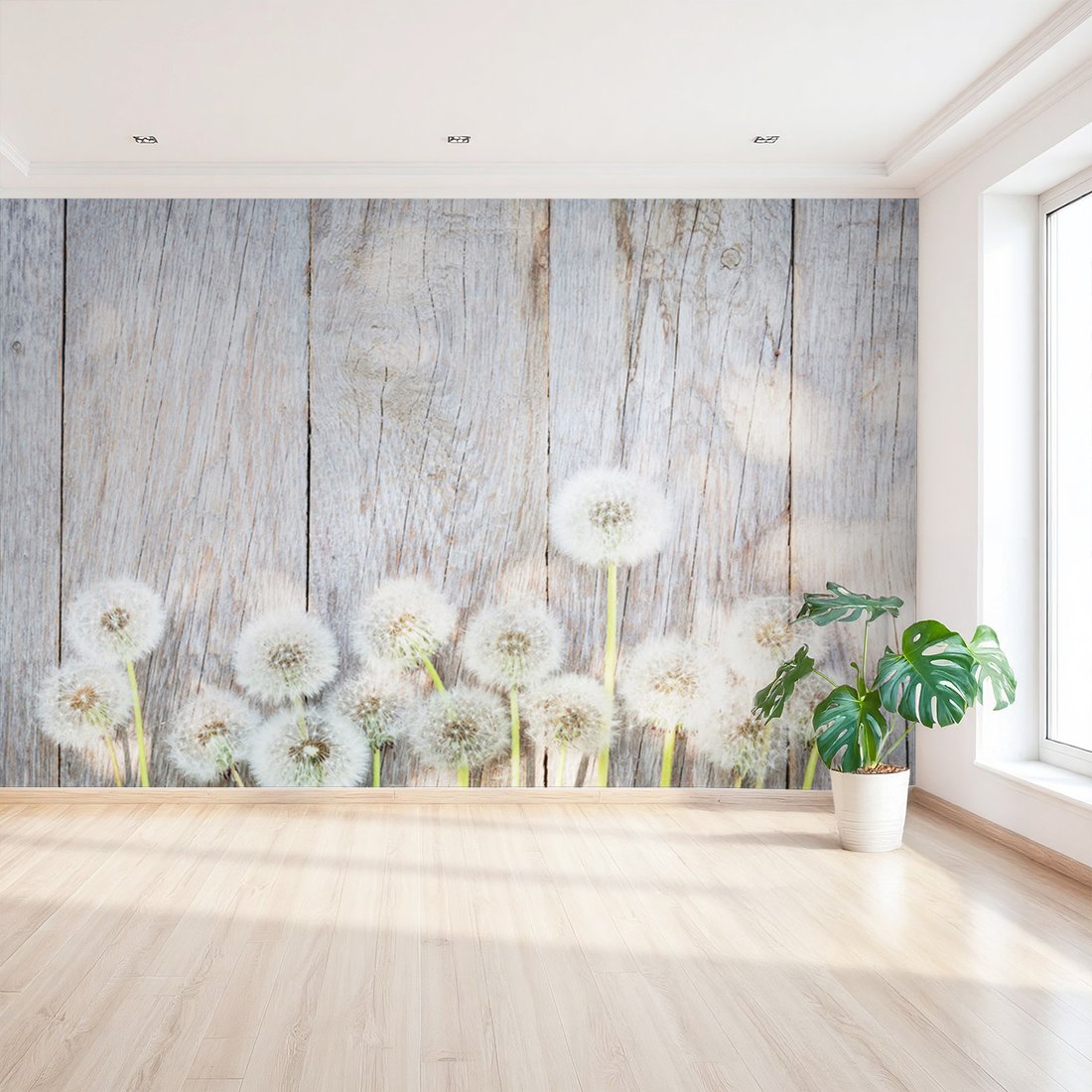 Fototapeta - dmuchawce, kwiaty, drewno