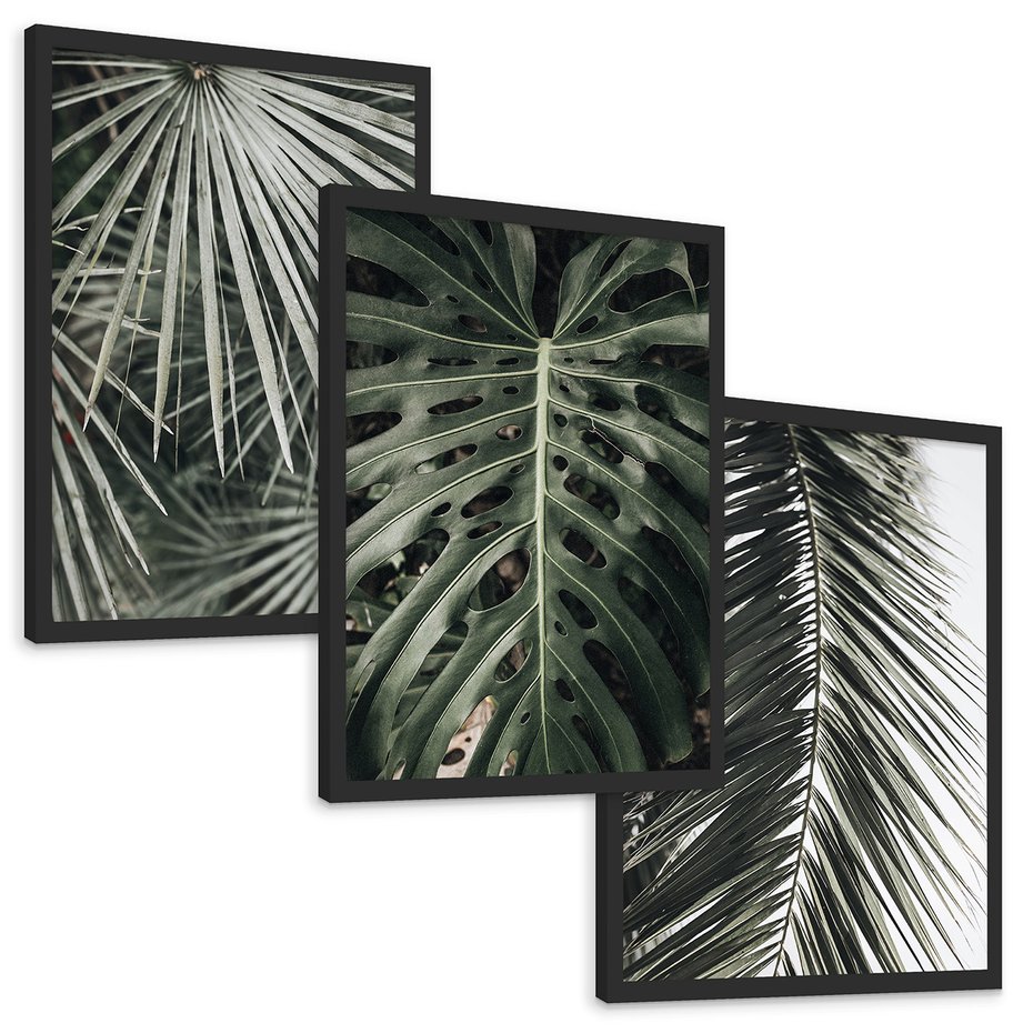 Zestaw obrazy w ramie, plakaty - liście, palmy, tropikalne - rama czarna
