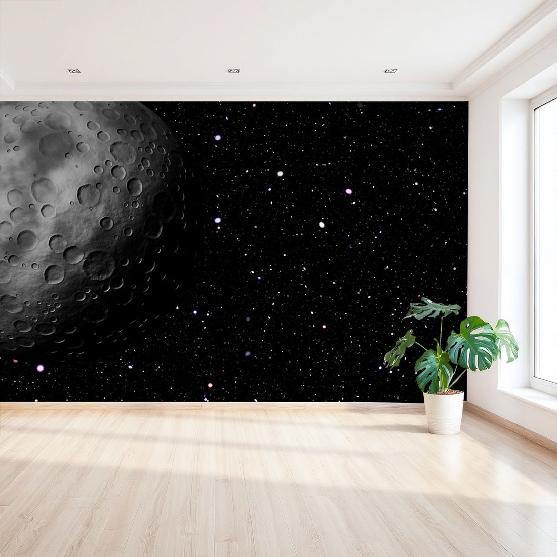 Fototapeta - kosmos, księżyc, kratery