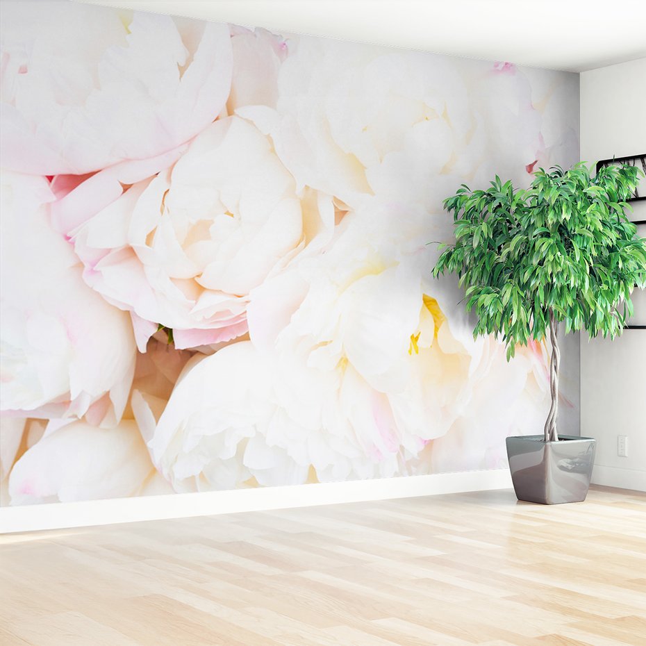 Fototapeta - kwiaty, białe, płatki