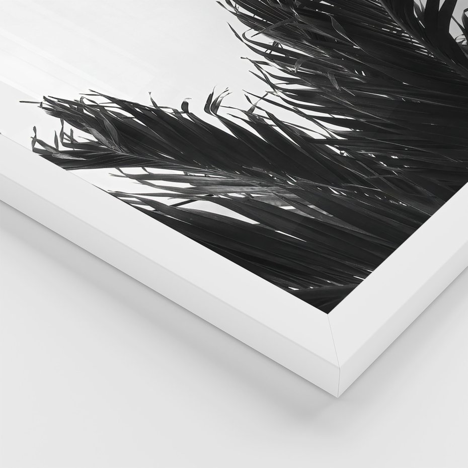 Zestaw obrazy w ramie, plakaty - palmy, liście, tropikalne - rama biała