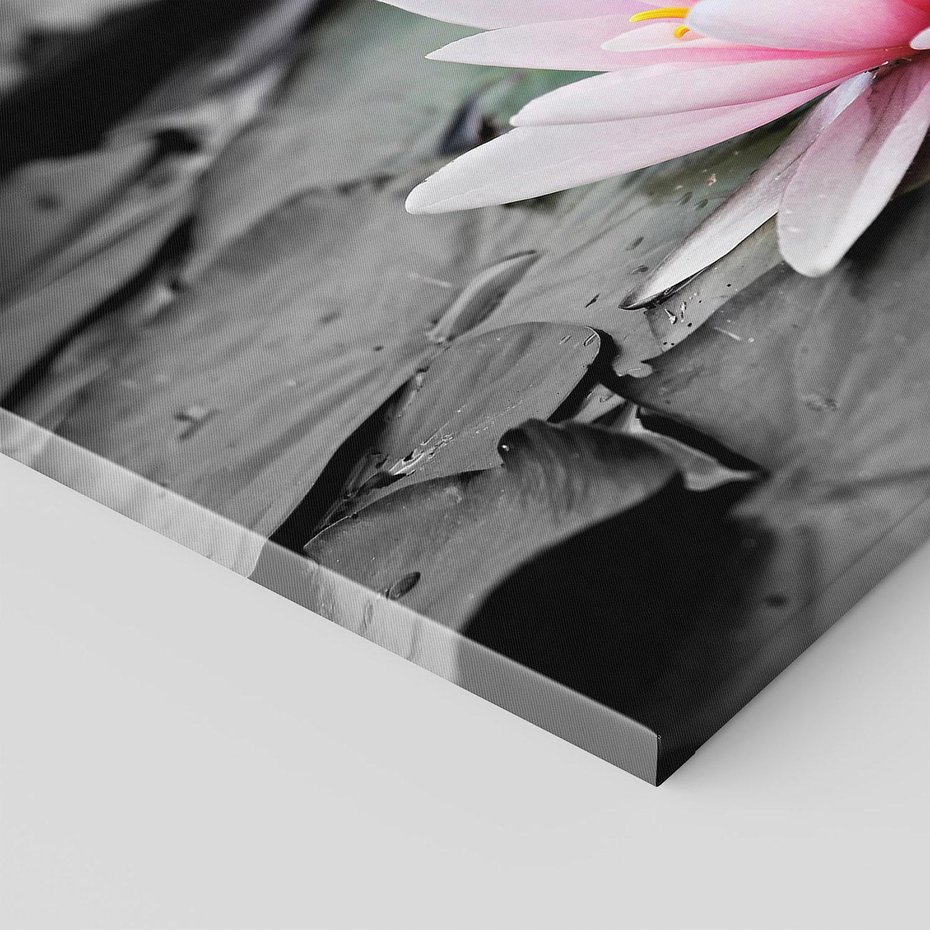 Obraz na płótnie - kwiat, lilia wodna, staw