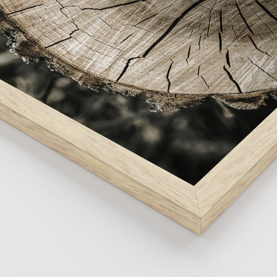 Zestaw obrazy w ramie, plakaty - drewno, tekstura, budynek - rama drewno