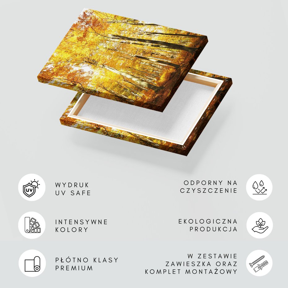 Obraz na płótnie - las, jesień, drzewa