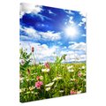 Obraz na płótnie - łąka, kwiaty, niebo