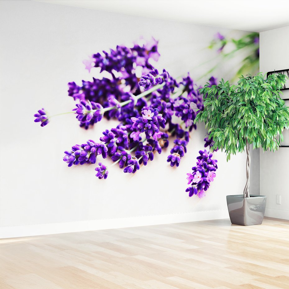 Fototapeta - lawenda, kwiaty, fioletowy