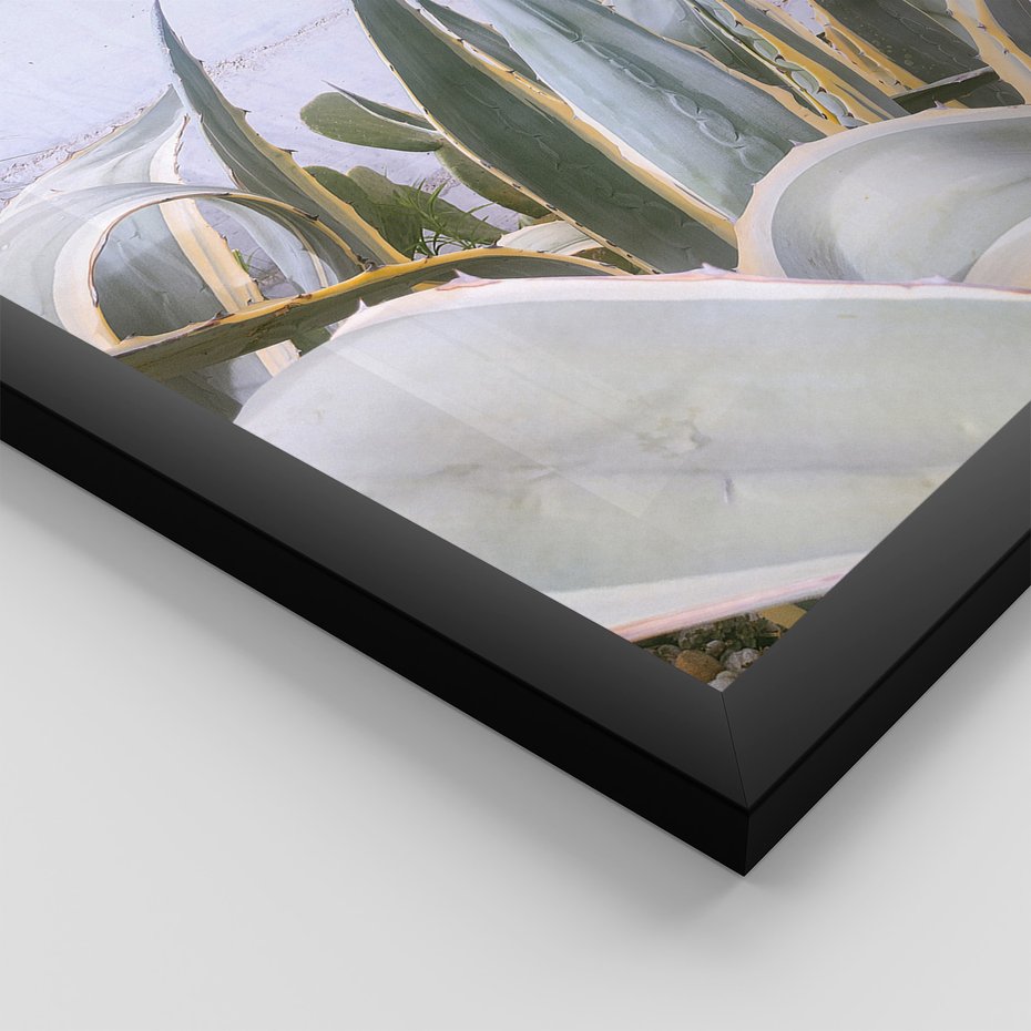 Zestaw obrazy w ramie, plakaty - rośliny, drzwi, drewno - rama czarna