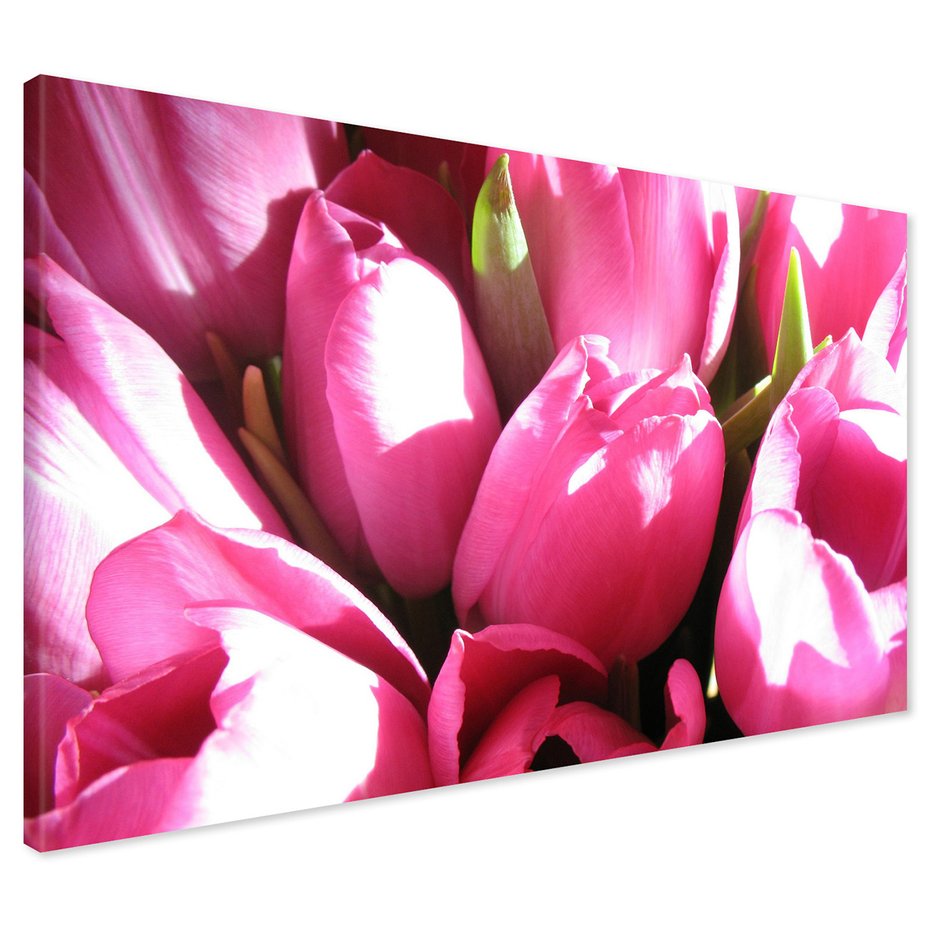 Obraz na płótnie - tulipany, kwiaty, różowe