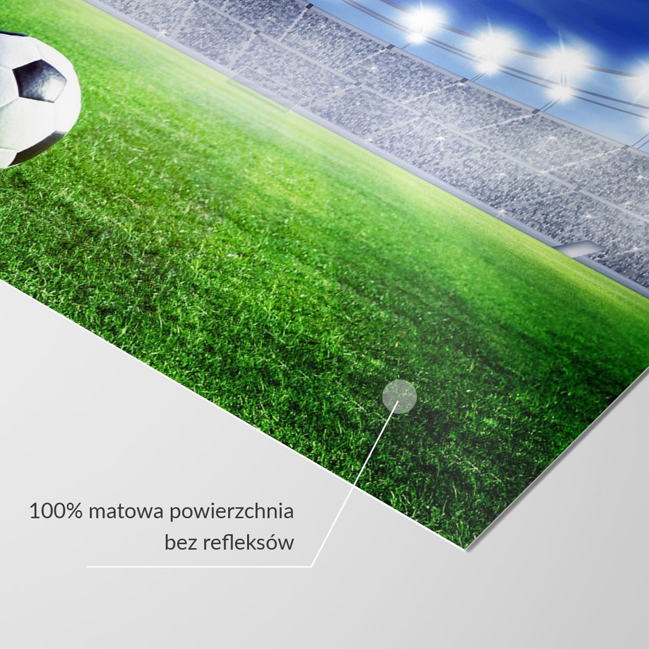 Fototapeta - piłka, stadion, trawa