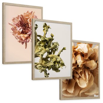 Zestaw obrazy w ramie, plakaty - kwiaty, suche, więdnięcie - rama drewno