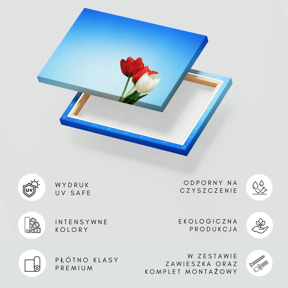 Obraz na płótnie - tulipany, kwiaty, niebo