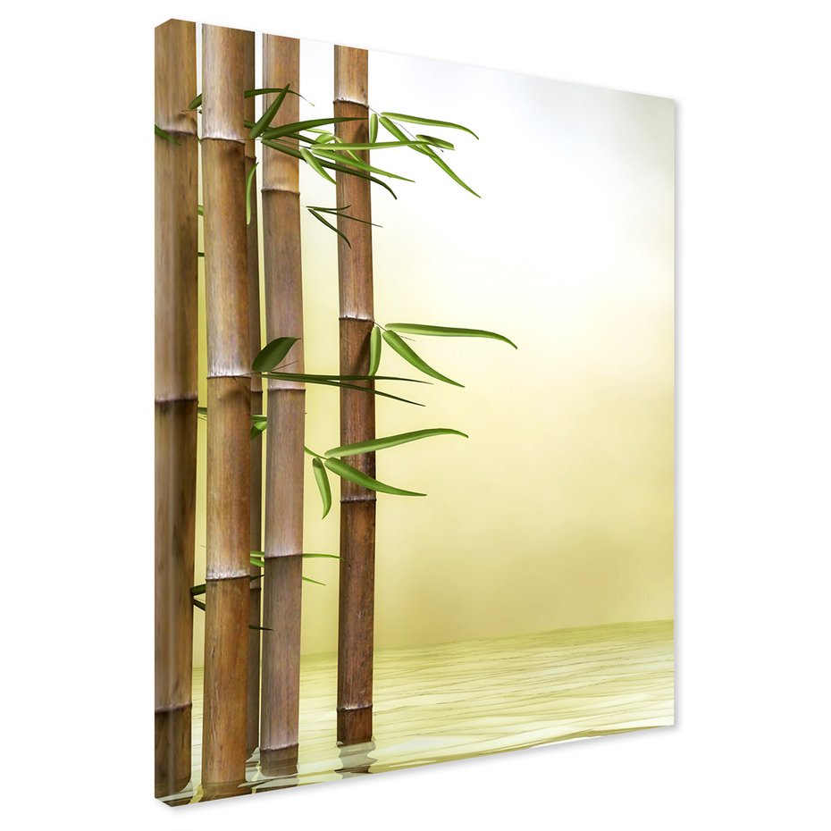 Obraz na płótnie - bambus, liście, woda