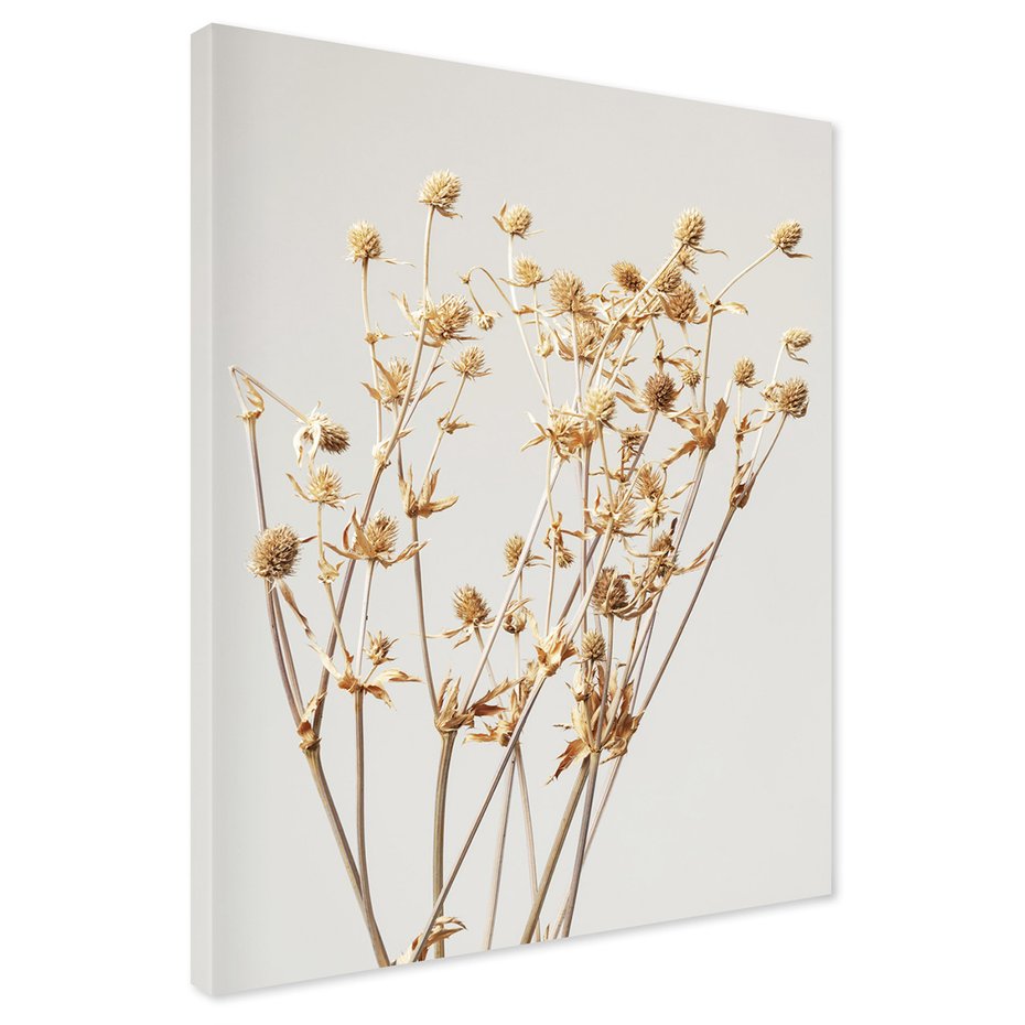 Obraz na płótnie - kwiaty, suszone, beżowe