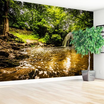 Fototapeta - wodospad, las, woda