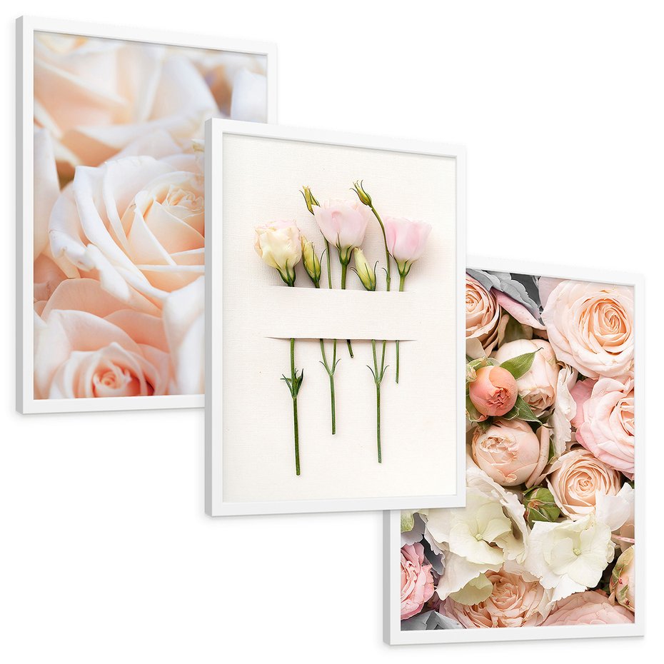 Zestaw obrazy w ramie, plakaty - kwiaty, róże, pastelowe - rama biała