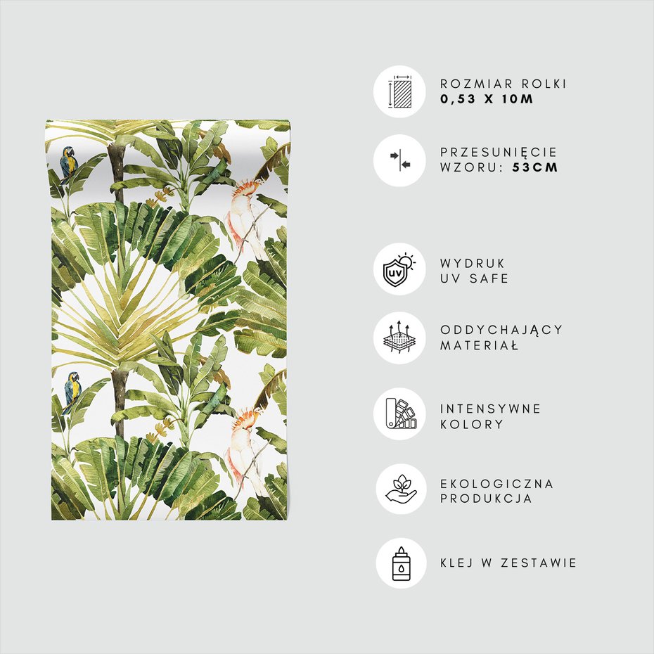 Tapeta - liście, papuga, tropiki