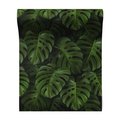Tapeta - liście, monstera, roślinność