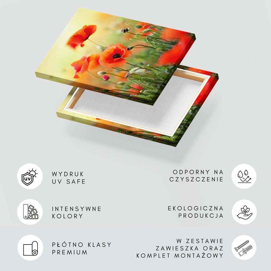 Obraz na płótnie - maki, kwiaty, lato