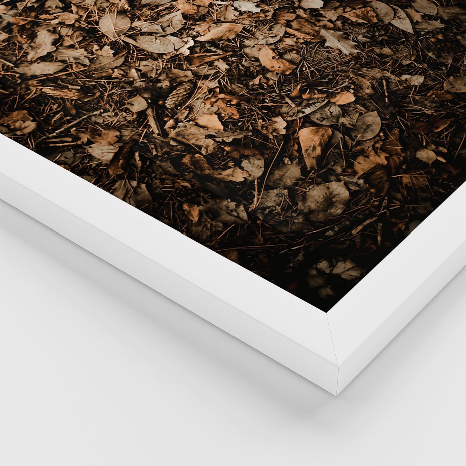 Zestaw obrazy w ramie, plakaty - liście, jesień, brązowy - rama biała