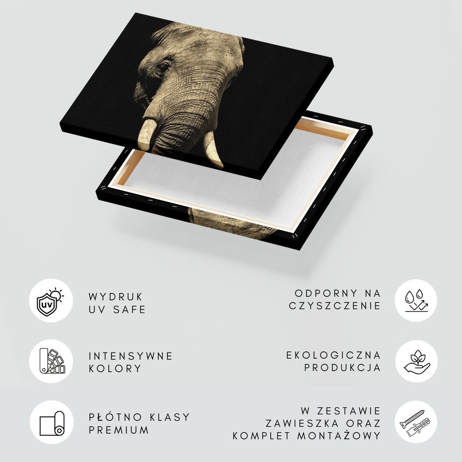 Obraz na płótnie - słoń, zwierzę, afrykański