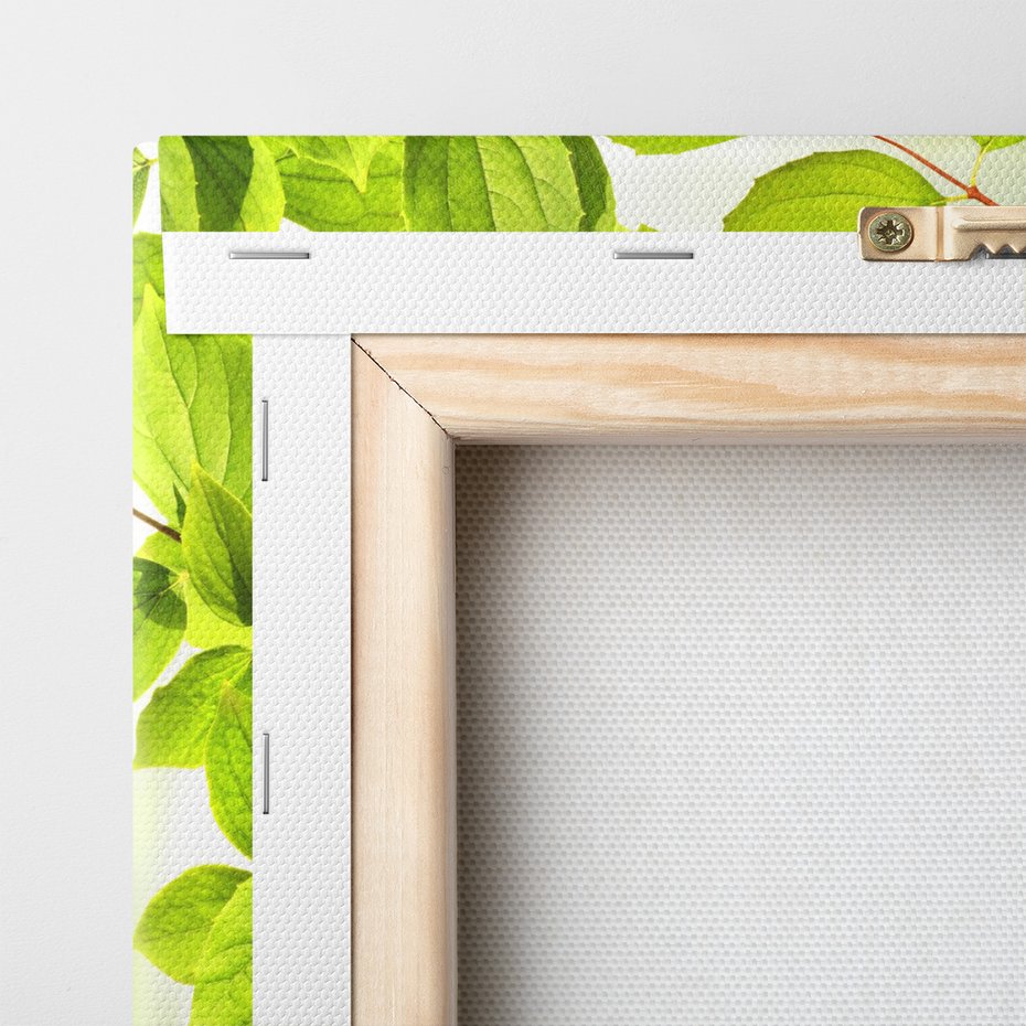 Obraz na płótnie - liście, zieleń, natura