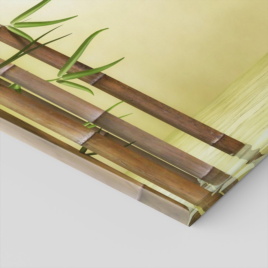 Obraz na płótnie - bambus, liście, woda