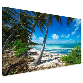 Obraz na płótnie - palmy, plaża, morze