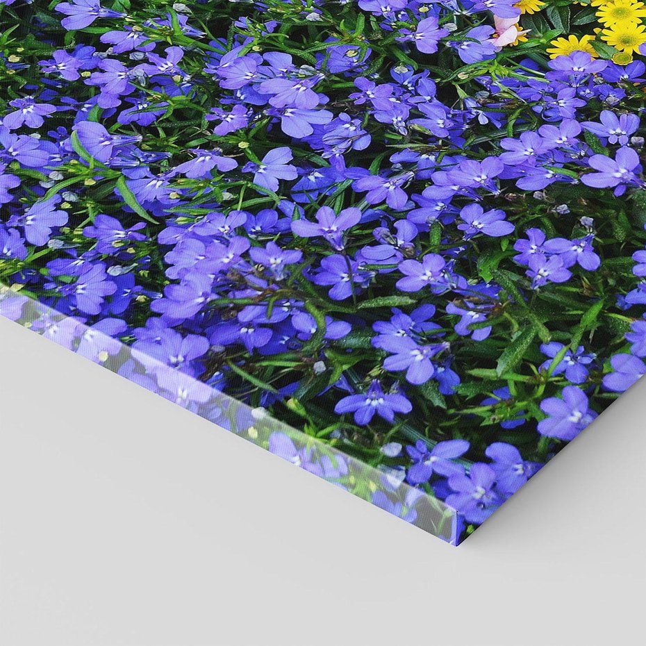 Obraz na płótnie - kwiaty, rośliny, natura