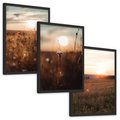 Zestaw obrazy w ramie, plakaty - pole, kwiaty, słońce - rama czarna