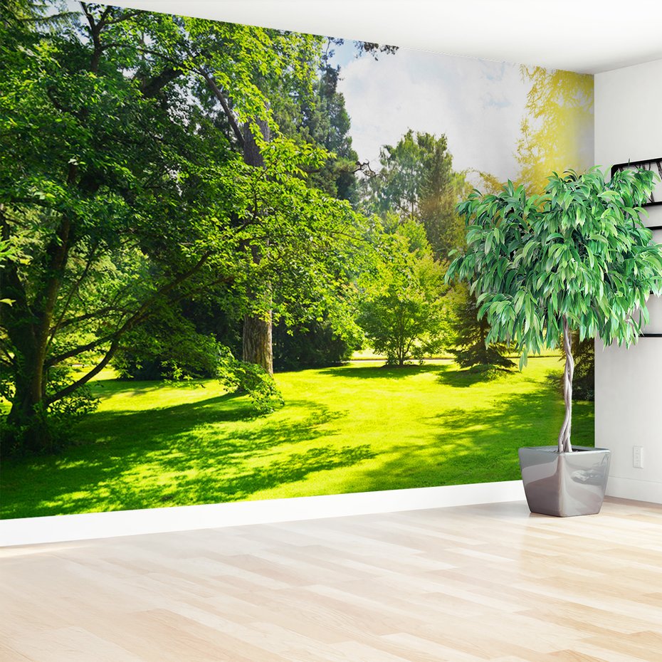 Fototapeta - las, trawa, drzewa