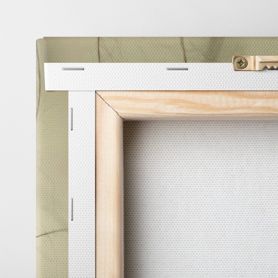 Obraz na płótnie - nasiona, krople, natura