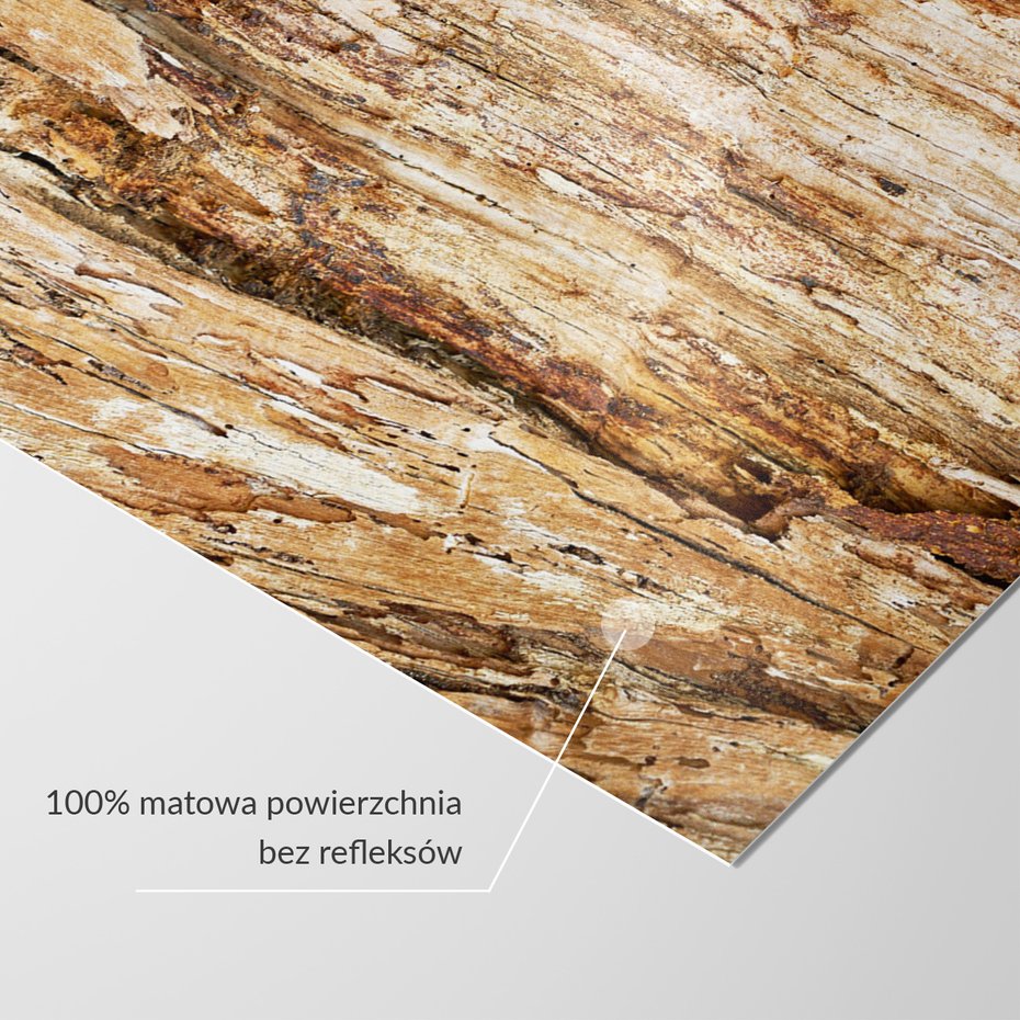 Fototapeta - drewno, kora, tekstura