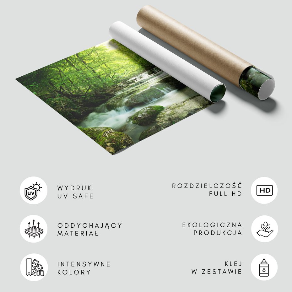 Fototapeta - las, rzeka, wodospad