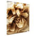 Obraz na płótnie - kwiat, płatki, suche