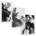 Zestaw obrazy w ramie, plakaty - liście, rośliny, natura - rama biała