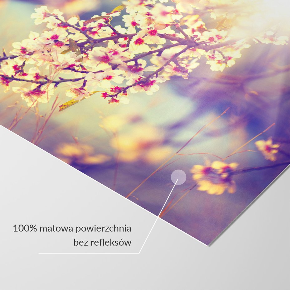 Fototapeta - kwiaty, wiosna, natura