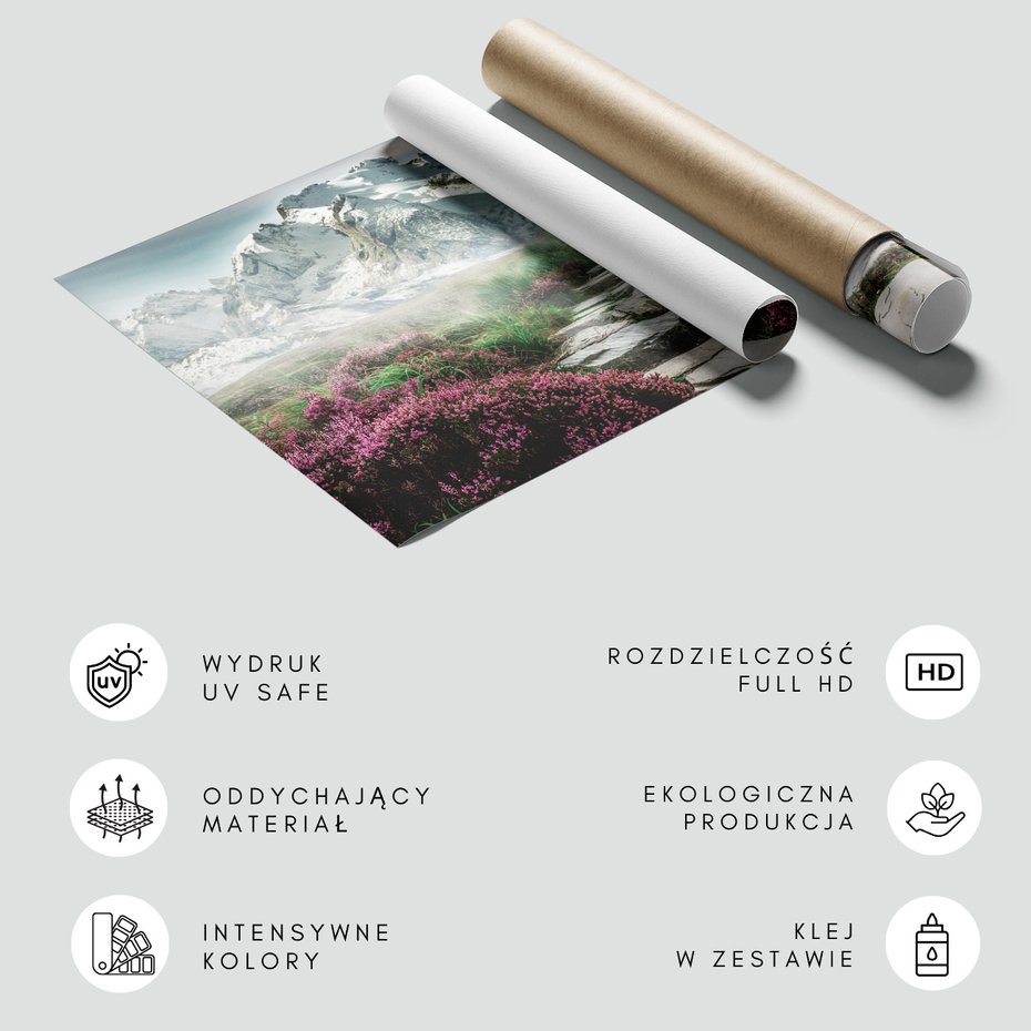 Fototapeta - góry, kamienie, kwiaty