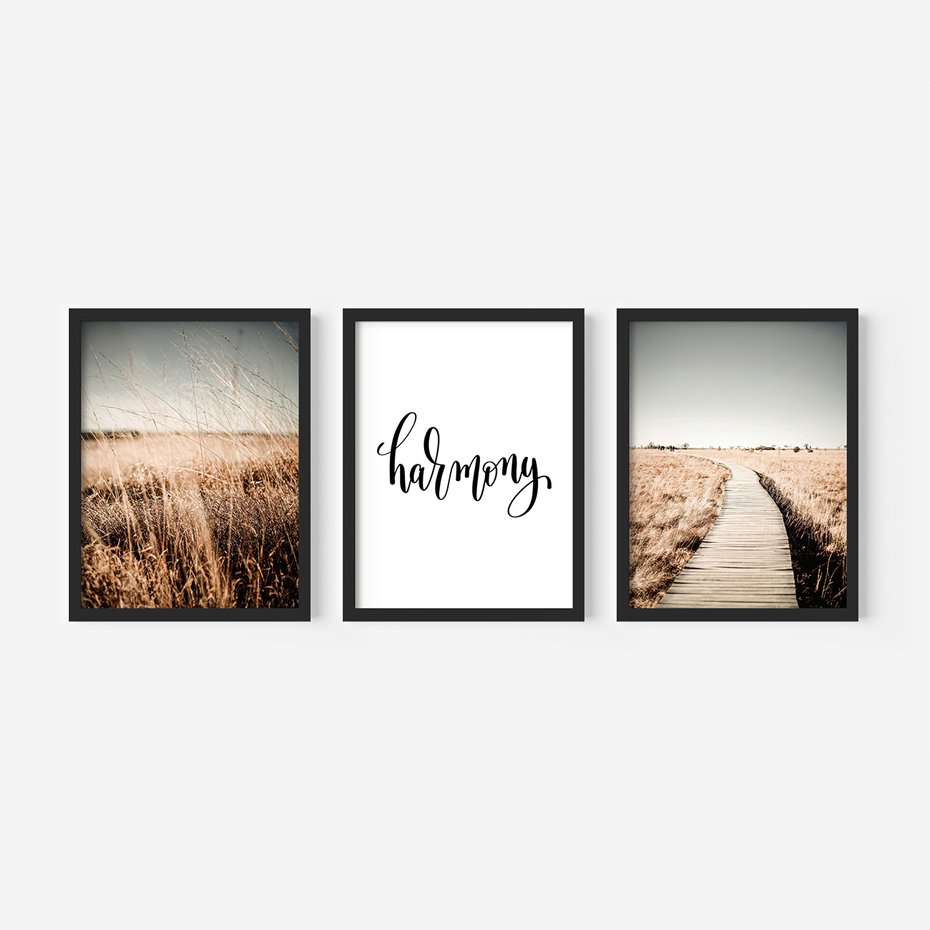 Zestaw obrazy w ramie, plakaty - przyroda, polne, krajobraz - rama czarna