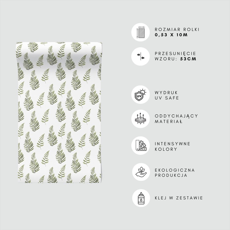 Tapeta - liście, paproć, natura