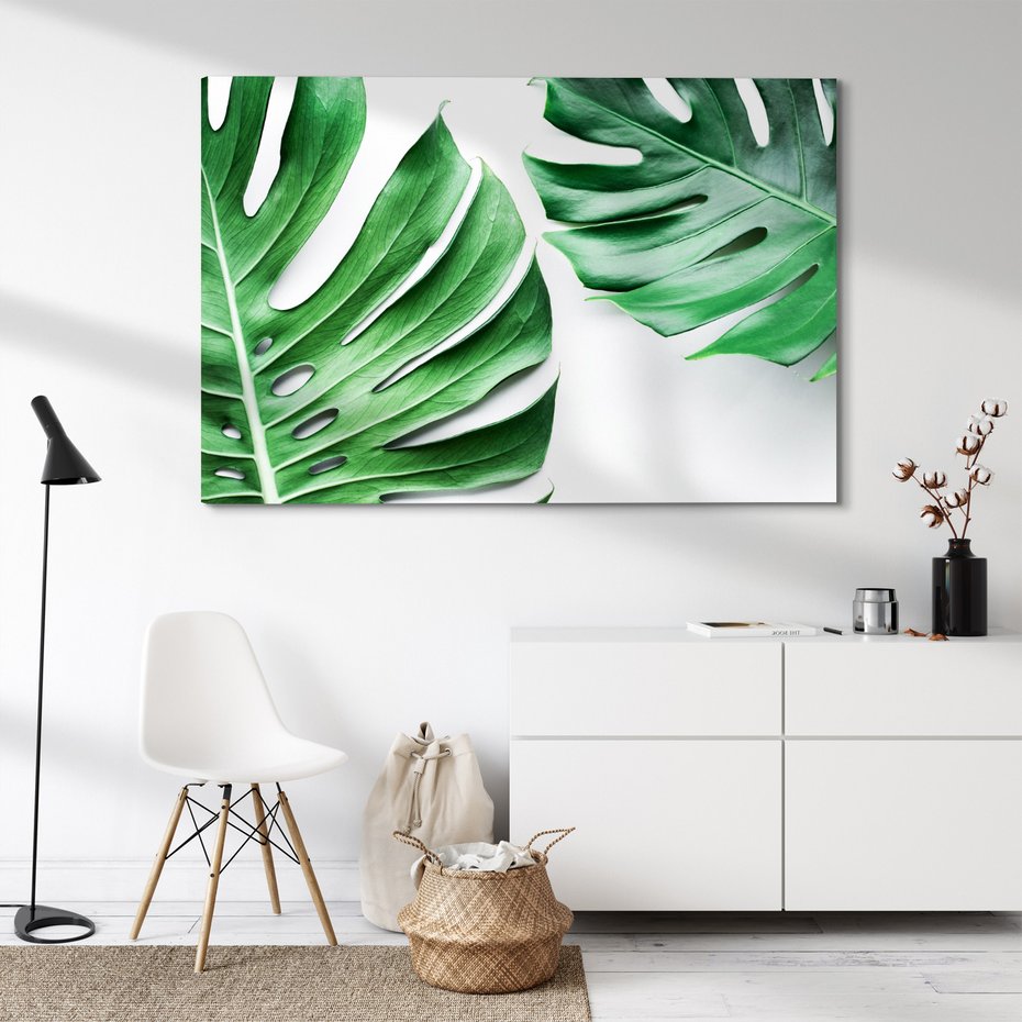 Obraz na płótnie - monstera, liście, roślina