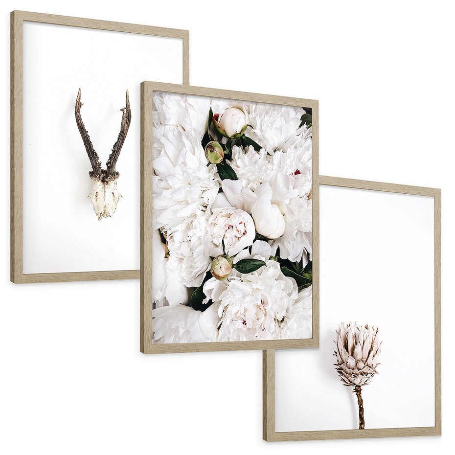 Zestaw obrazy w ramie, plakaty - kwiaty, minimalizm, roślina - rama drewno