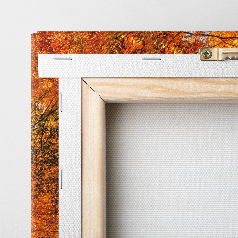 Obraz na płótnie - jesień, las, liście